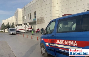 24 İlde Dev Uyuşturucu Operasyonu: 3 Milyon 325 Bin Kök Kenevir İmha Edildi, 80 Tutuklama