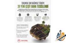 Tarımda Yerli Tohum Devrimi: Bakan Yumaklı TAGEM’in Tescillediği 39 Yeni Çeşidi Müjdeledi!