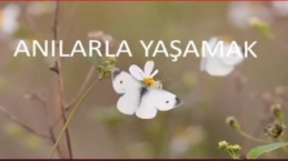 Esin Tarakçıoğlu İle Hayattan Esintiler