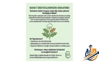 Nohut Üreticilerine Kritik Uyarı: "Bulut Vurgunu"...