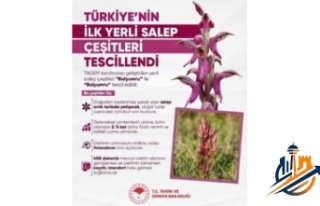 Türkiye’den Tarımda Tarihi Devrim: İlk Yerli...