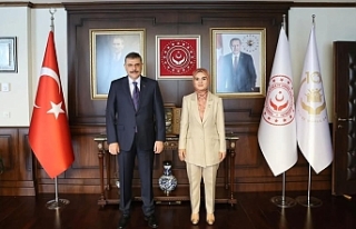 BAKANLIKLAR ARASI STRATEJİK İŞ BİRLİĞİ: KADINA...