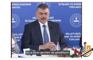 SAHİPSİZ SOKAK HAYVANLARI İÇİN YENİ DÖNEM:...