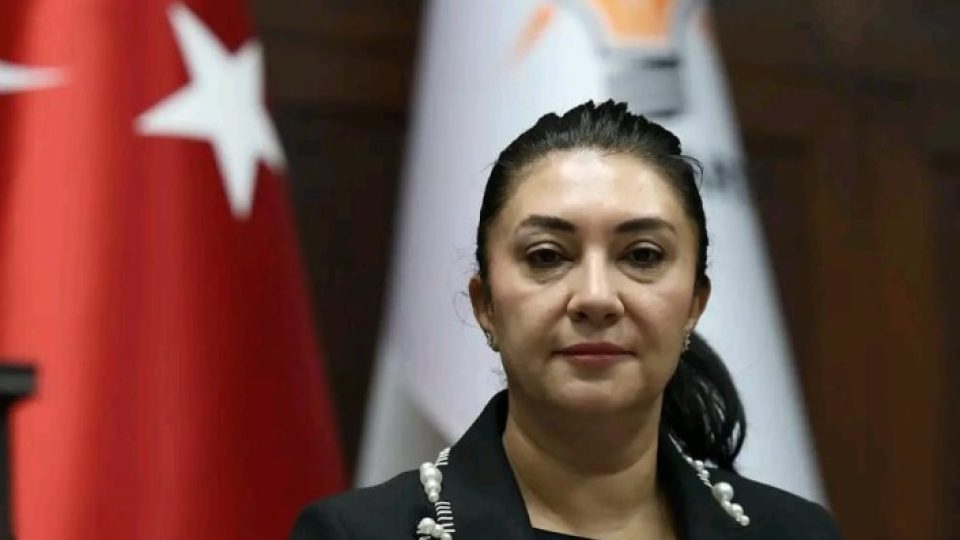 CUMHURBAŞKANI ERDOĞAN GÖRÜŞMESİNİN ARDINDAN DEV SAĞLIK YATIRIMLARI VE DOKTOR ATAMALARI PEŞ PEŞE GELDİ!